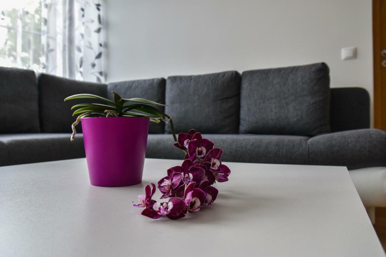 Mardi Downtown Apartment タリン エクステリア 写真